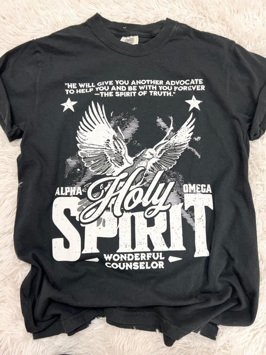 Holy Spirit Comfort Color