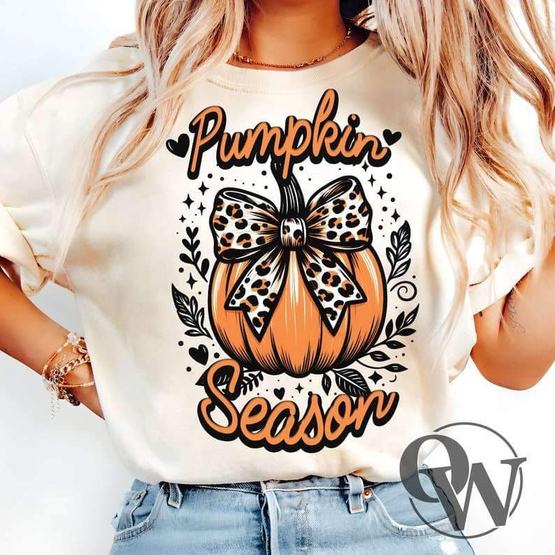 Pumpkin Season Tee or Pullover