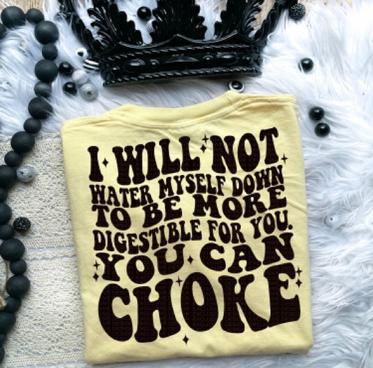 I will not water myself down graphic tee